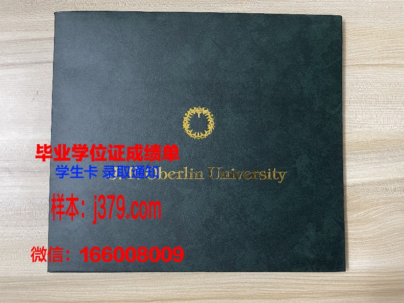 奈梅亨大学本科毕业证(奈梅亨大学官网)