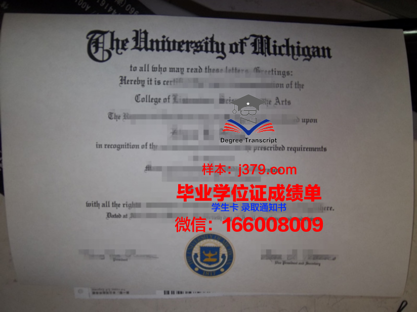 蓝康恒大学毕业证展示