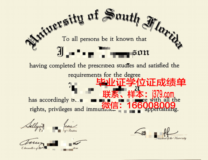 南佛罗里达大学毕业证电子版