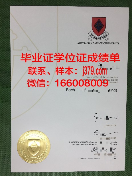 南方比维斯天主教高等专业学院毕业证原件