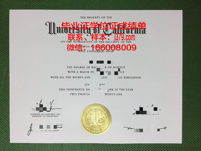 奈梅亨大学毕业证：一份承载荣誉与梦想的证书