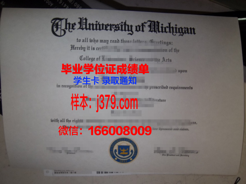 大邱保健大学硕士毕业证
