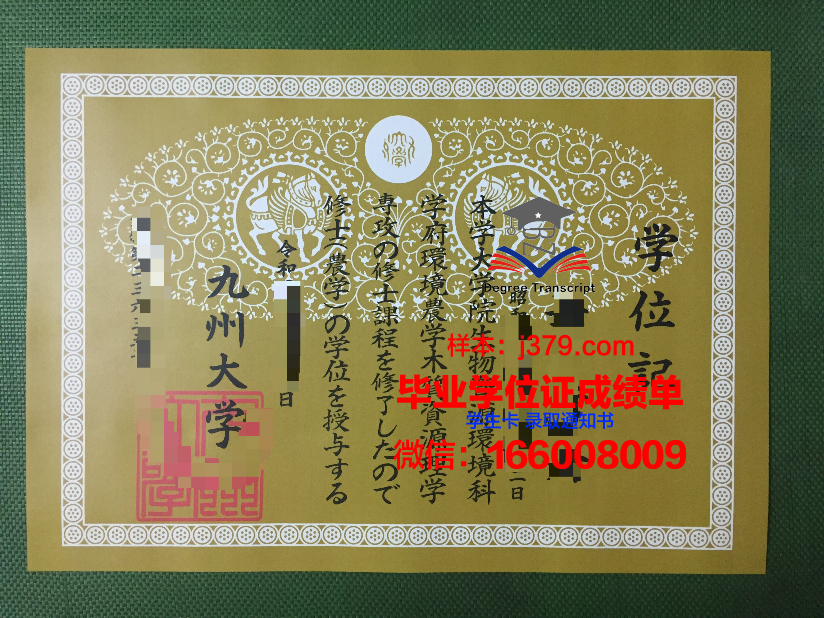 日本九州大学毕业证