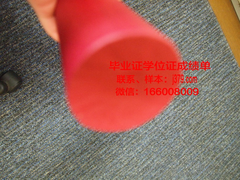南澳大利亚商业技术学院毕业证是什么模样(澳大利亚南澳大学学费是多少)