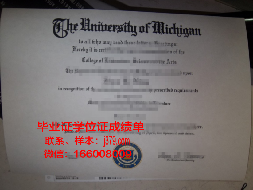 旧艺大硕士毕业证：时间的印记与青春的回忆