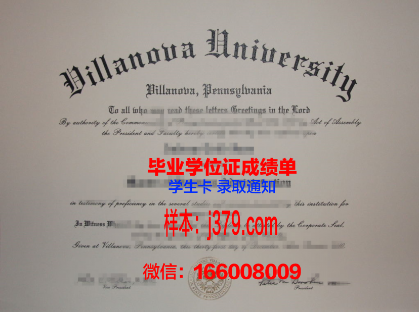 维拉朱丽学院硕士毕业证：一份承载荣誉与梦想的证书