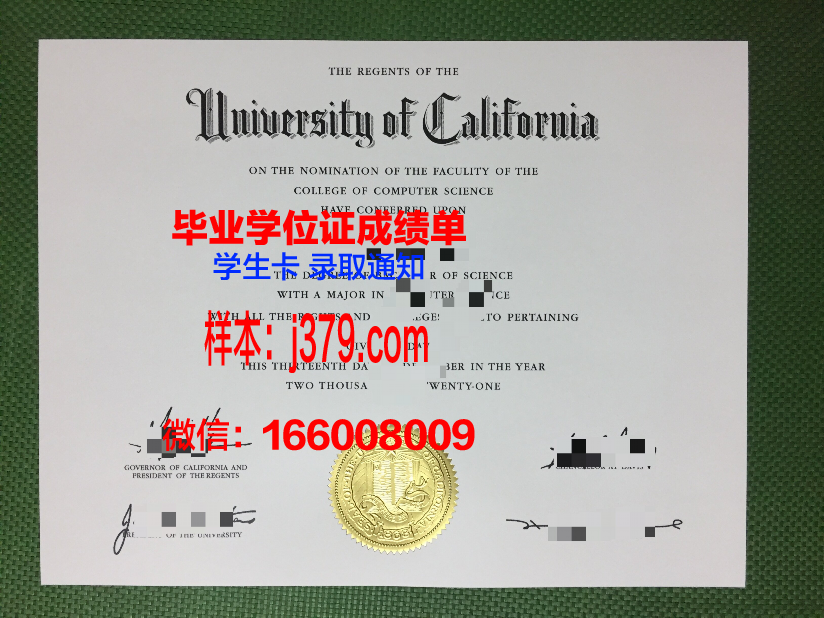 维塞乌理工学院毕业证真伪