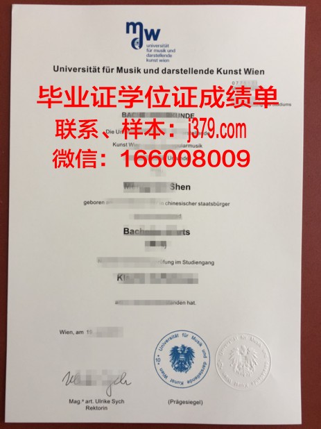 维也纳音乐与表演艺术大学成绩单(维也纳音乐学院落榜生)