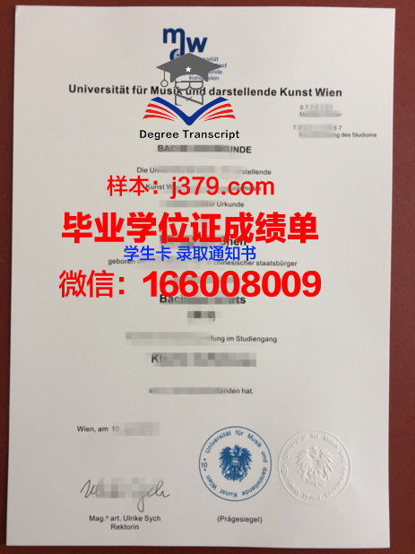 维也纳应用艺术大学毕业证书图片高清(维也纳艺术学院负全责)