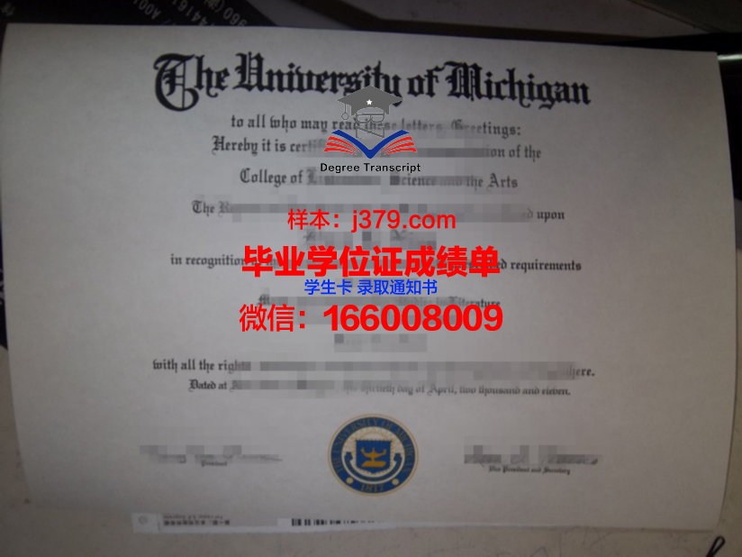 维大博士毕业证：一份承载荣誉与梦想的证书