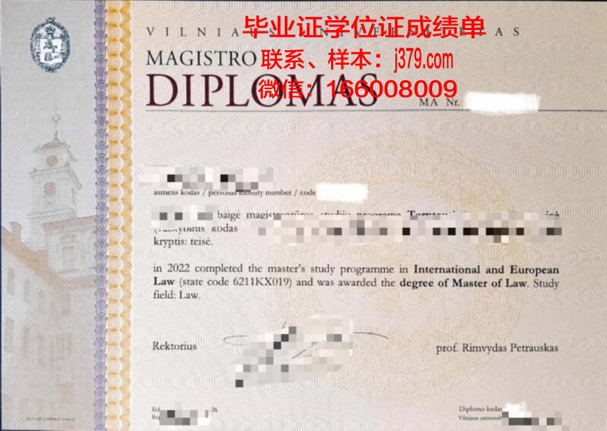 维尔纽斯艺术学院diploma证书(维尔纽斯大学官网)