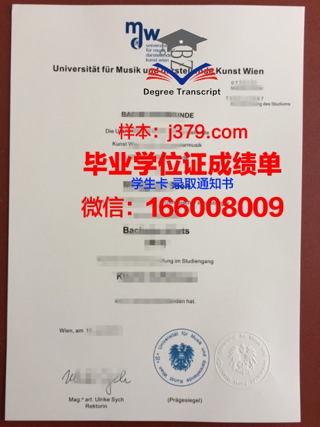 维也纳应用艺术大学毕业证书图片高清(维也纳艺术学院负全责)