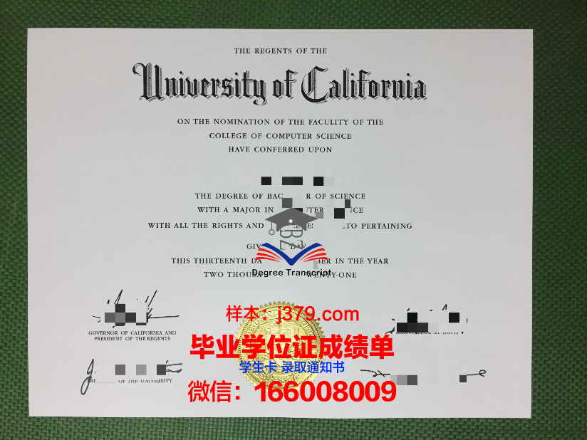 雅西国立艺术大学毕业证：一份承载荣誉与梦想的证书