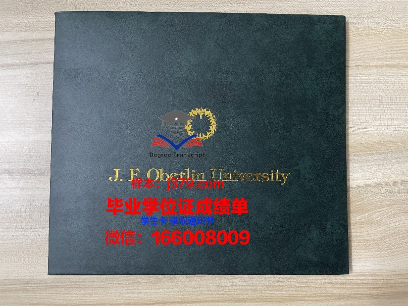 雷根斯堡大学毕业证案例(雷根斯堡大学排名)