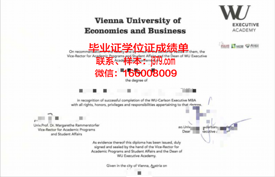 维也纳大学毕业证图片:一张纸的重量与梦想的承载