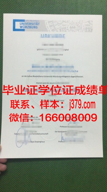 维尔茨堡音乐学院毕业证学位证(维尔茨堡大学医学博士)