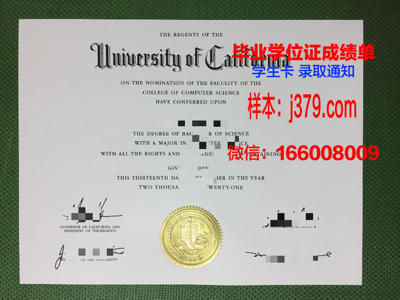 维大博士毕业证：一份承载荣誉与梦想的证书