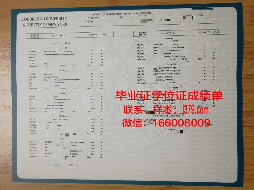 维亚特卡国立大学学位成绩单定制：正规性与诚信的考量