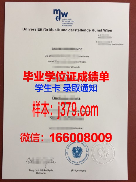 维也纳音乐与艺术市立大学毕业证书模板(维也纳音乐与表演艺术大学怎么样)