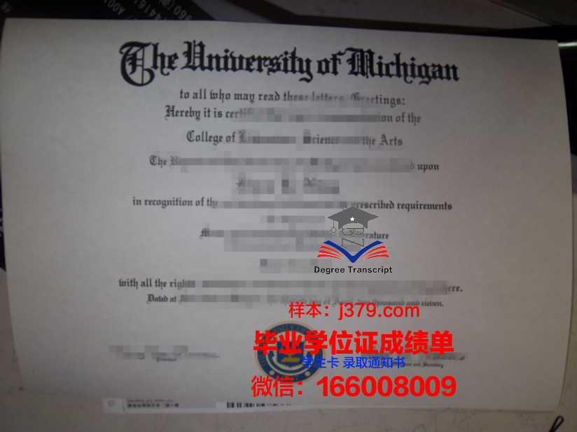 雷恩第一大学硕士毕业证:跨越国界的学术荣耀