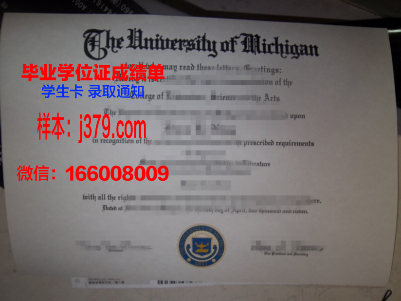 雅罗斯拉夫尔国立大学毕业证好找工作吗(雅罗斯拉夫尔地区)