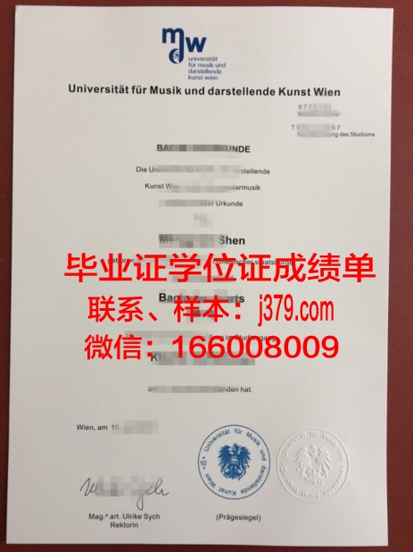 维也纳应用艺术大学毕业证案例(维也纳应用美术学院)