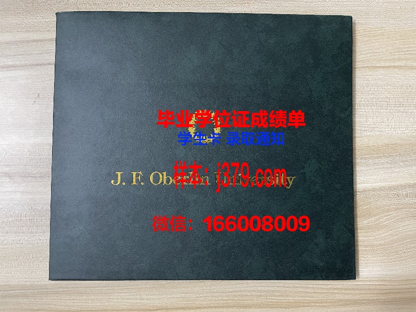 雷根斯堡大学硕士毕业证书样本(雷根斯堡大学dsh)