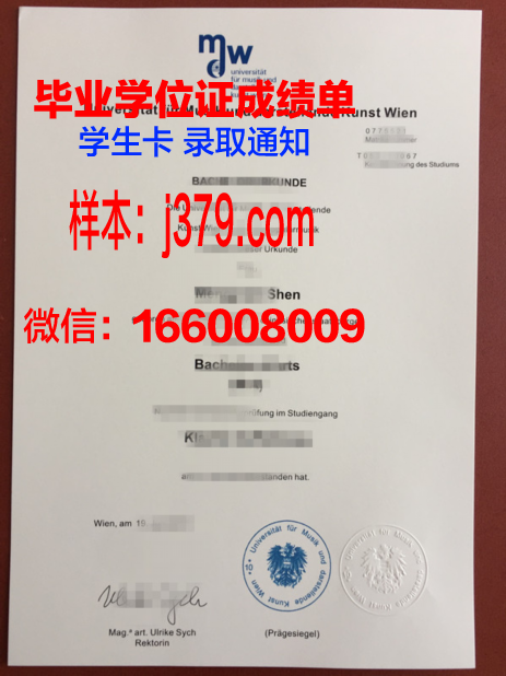 维也纳技术大学毕业学位