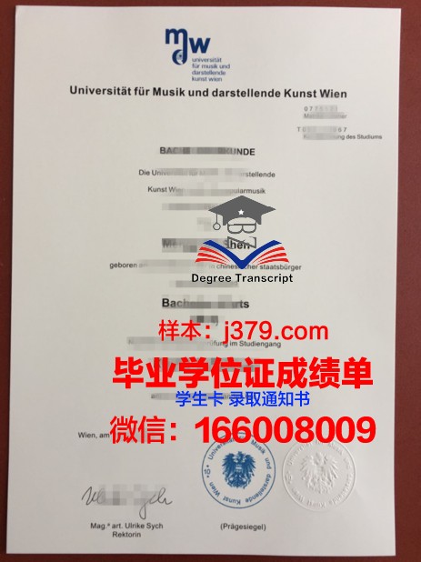 维也纳技术大学毕业学位