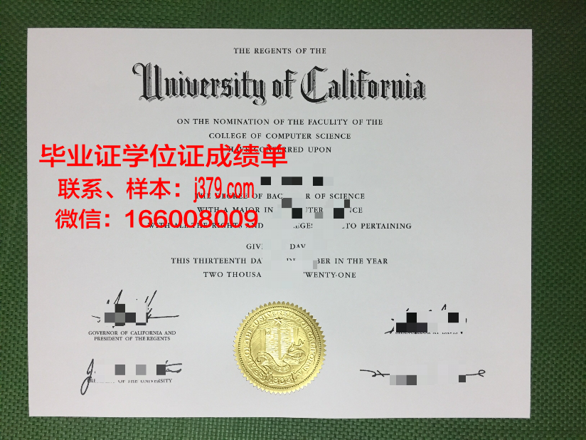维塞乌理工学院毕业证成绩单