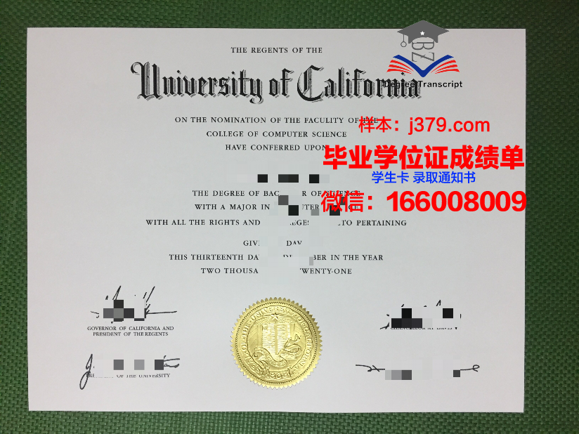 霍姆斯格兰技术与继续教育学院毕业证(霍姆斯格兰理工学院)