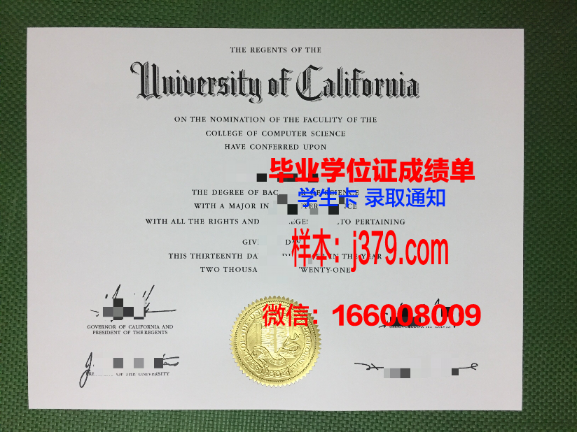 雷根斯堡应用技术大学硕士毕业证：开启国际职场新篇章