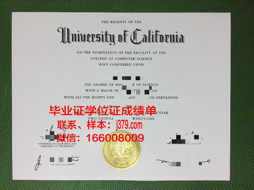 维纳博士毕业证：一张传奇证书的幕后故事