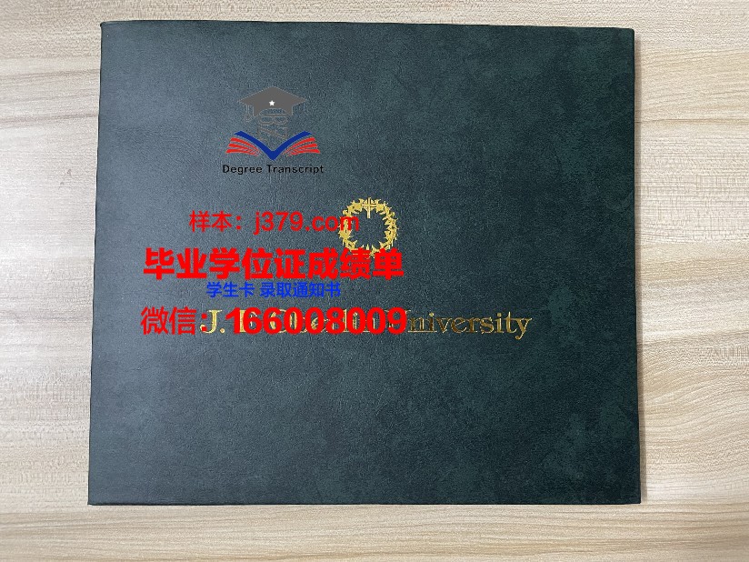 雷根斯堡大学毕业证模板(雷根斯堡大学排名)