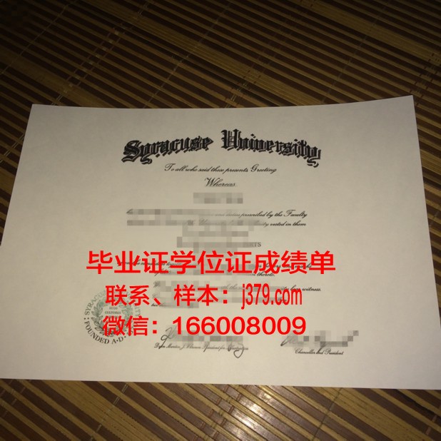 雪城大学成绩单(雪城大学cs录取数据)