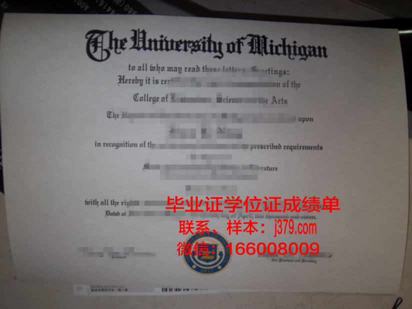 维塞乌理工学院毕业证真伪