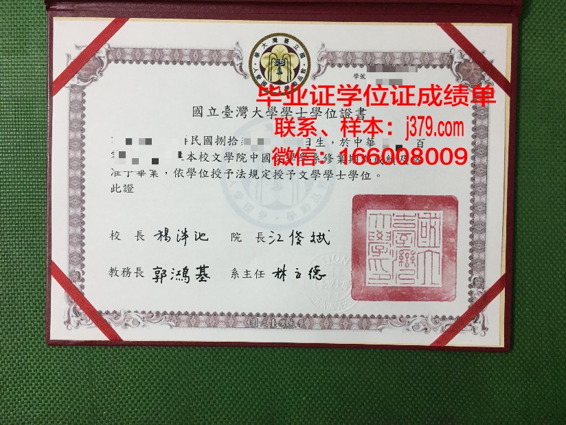 维捷布斯克国立工艺大学硕士毕业证(维捷布斯克国立大学学历国内认可么)