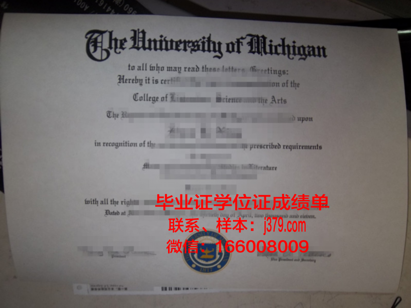 阿道夫·伊瓦涅斯大学毕业证案例
