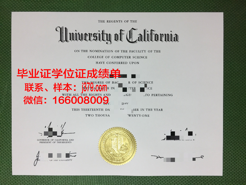 维罗纳音乐学院毕业证是什么样子(维罗纳歌词)