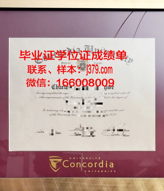 纽约康考迪亚学院博士学位证的含金量解析