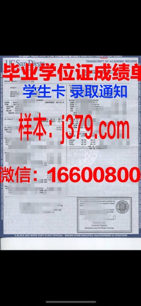 陈铭大学成绩单：见证一位优秀学子的成长轨迹