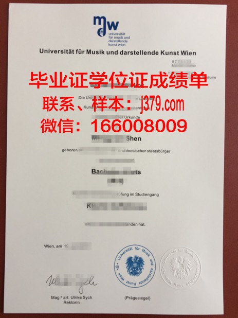 维也纳技术大学成绩单(维也纳大学v课堂)