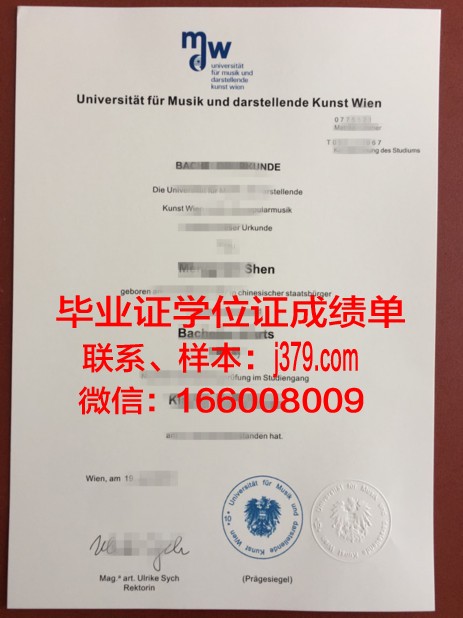 维也纳经济大学毕业证书：开启国际化职业大门的金钥匙