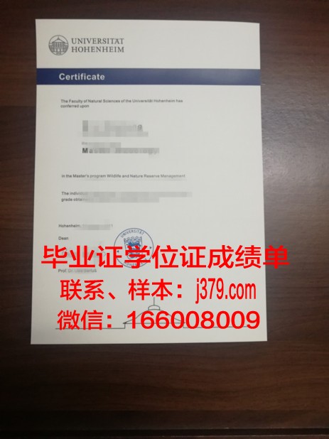 霍恩海姆大学毕业证成绩单：揭开德国高等教育之谜