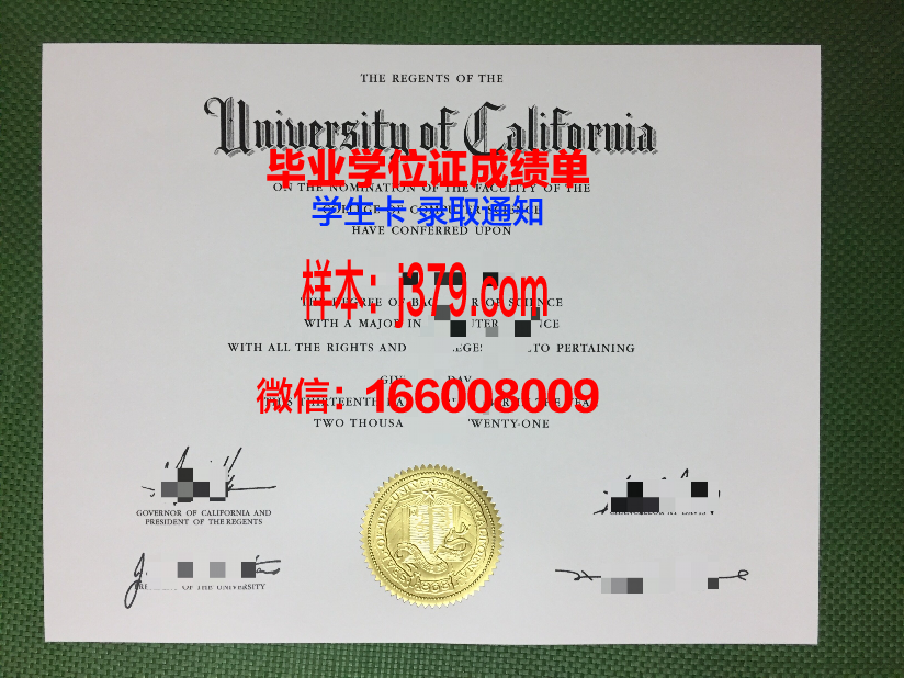 维塞乌理工学院毕业证模板