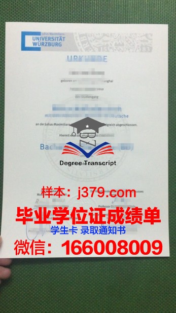 维尔茨堡-施韦因富特应用技术大学diploma证书(维尔兹堡应用科技大学)