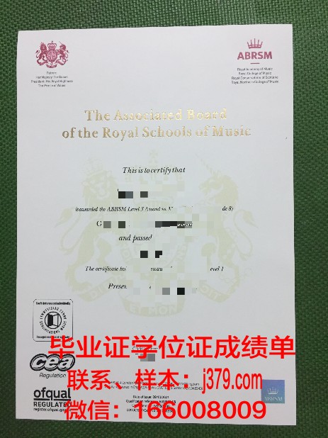 阿韦利诺音乐学院毕业证：开启音乐之路的黄金通行证