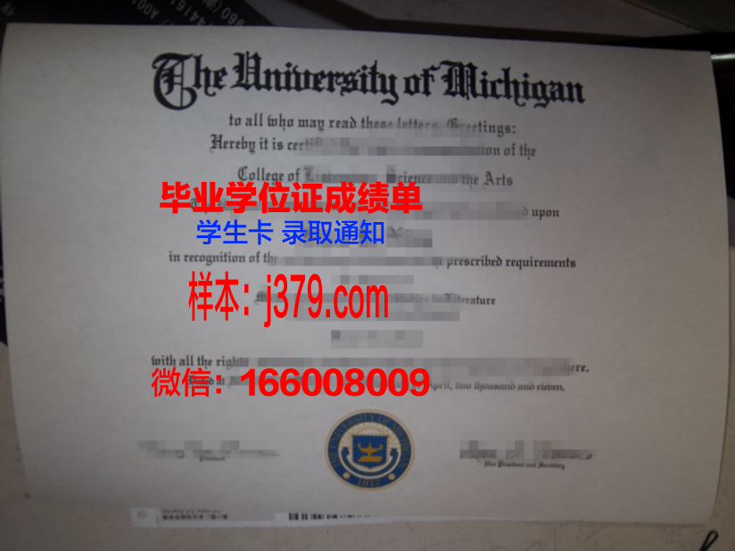维立佳学院毕业证图片