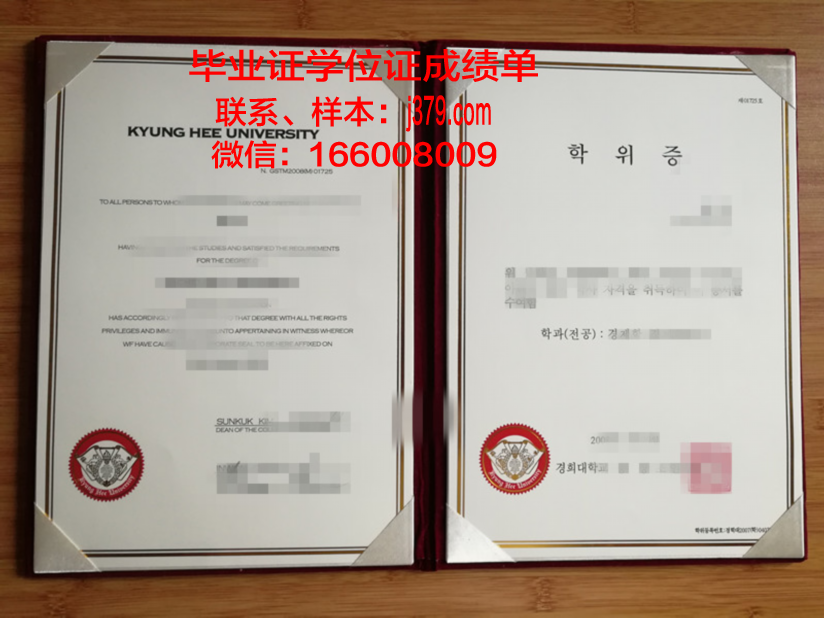 经济学学士学位证书：开启职业生涯的黄金钥匙