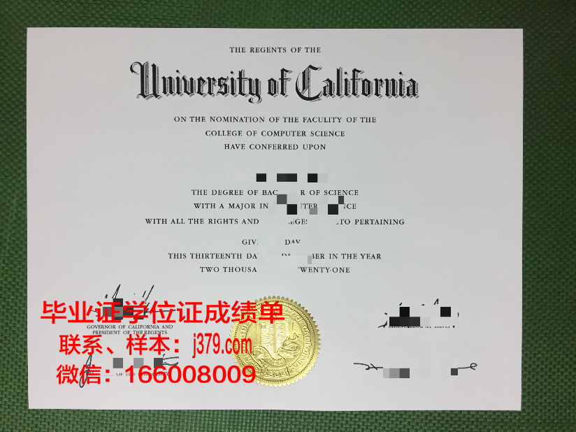 雅西格里戈里·波帕医药大学毕业证等级